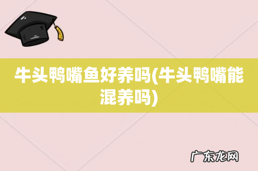 牛头鸭嘴能混养吗 牛头鸭嘴鱼好养吗