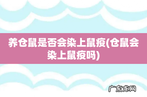 仓鼠会染上鼠疫吗 养仓鼠是否会染上鼠疫