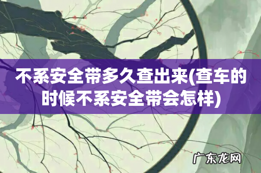 查车的时候不系安全带会怎样 不系安全带多久查出来