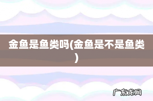 金鱼是不是鱼类 金鱼是鱼类吗