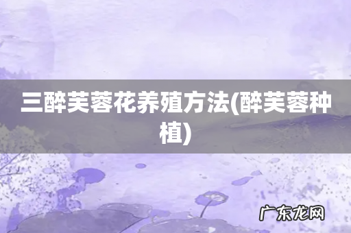 醉芙蓉种植 三醉芙蓉花养殖方法