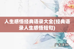 经典语录人生感悟短句 人生感悟经典语录大全