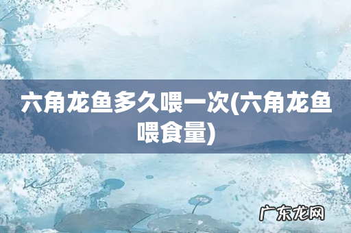 六角龙鱼喂食量 六角龙鱼多久喂一次
