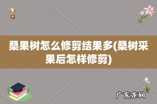 桑树采果后怎样修剪 桑果树怎么修剪结果多