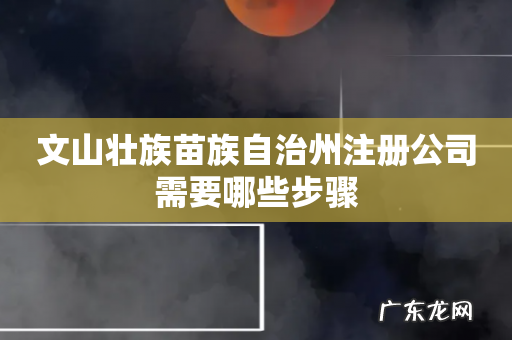 文山壮族苗族自治州注册公司需要哪些步骤