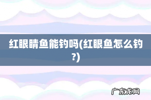 红眼鱼怎么钓? 红眼睛鱼能钓吗