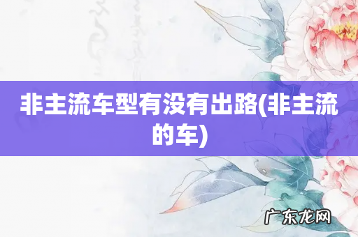 非主流的车 非主流车型有没有出路