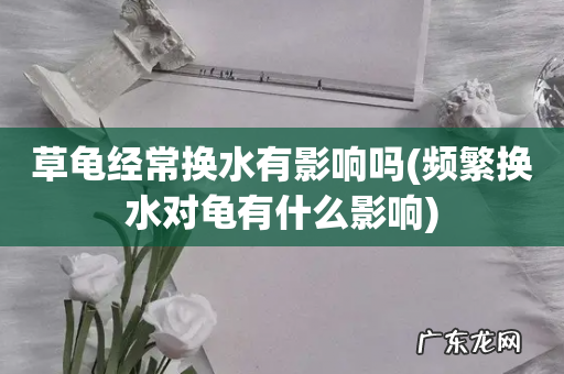 频繁换水对龟有什么影响 草龟经常换水有影响吗