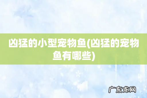 凶猛的宠物鱼有哪些 凶猛的小型宠物鱼