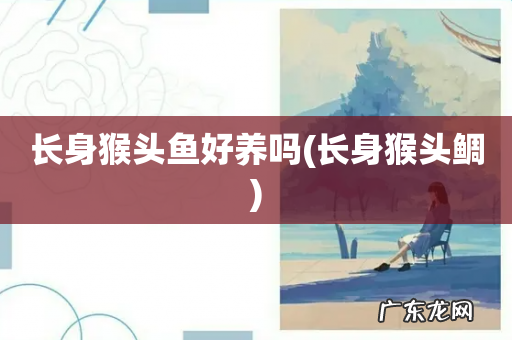 长身猴头鲷 长身猴头鱼好养吗