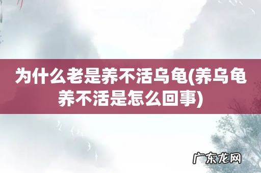 养乌龟养不活是怎么回事 为什么老是养不活乌龟