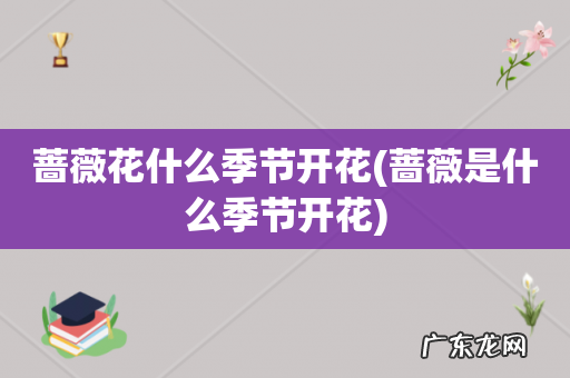 蔷薇是什么季节开花 蔷薇花什么季节开花