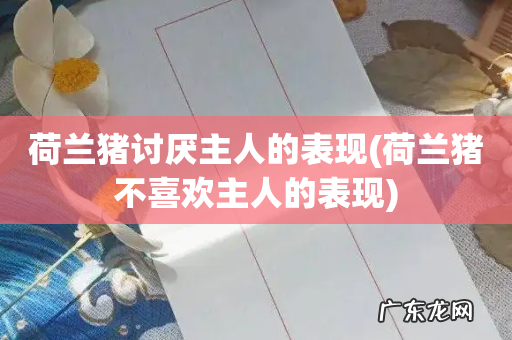 荷兰猪不喜欢主人的表现 荷兰猪讨厌主人的表现