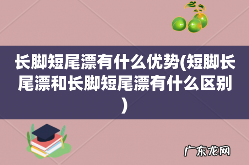 短脚长尾漂和长脚短尾漂有什么区别 长脚短尾漂有什么优势