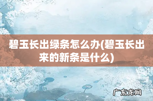 碧玉长出来的新条是什么 碧玉长出绿条怎么办