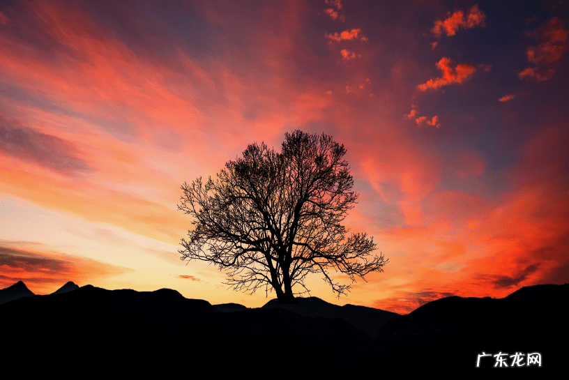 损阴德的人会怎样