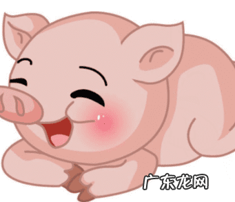 金心吊兰摆放风水禁忌