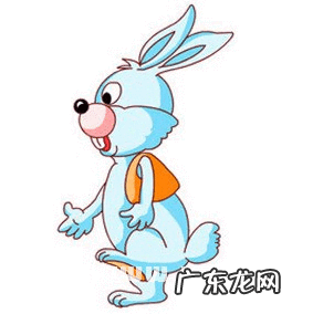 金心吊兰摆放风水禁忌