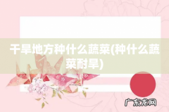 种什么蔬菜耐旱 干旱地方种什么蔬菜