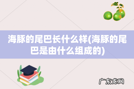 海豚的尾巴是由什么组成的 海豚的尾巴长什么样