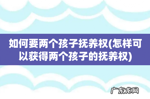 怎样可以获得两个孩子的抚养权 如何要两个孩子抚养权
