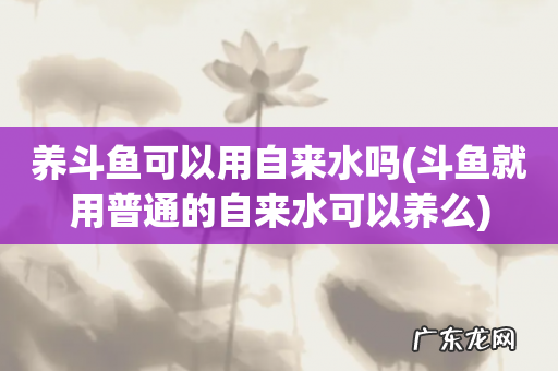 斗鱼就用普通的自来水可以养么 养斗鱼可以用自来水吗