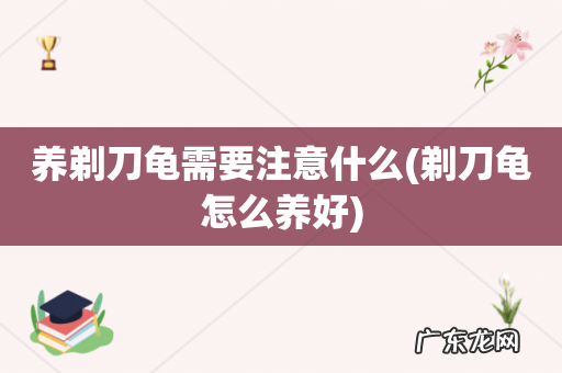 剃刀龟怎么养好 养剃刀龟需要注意什么