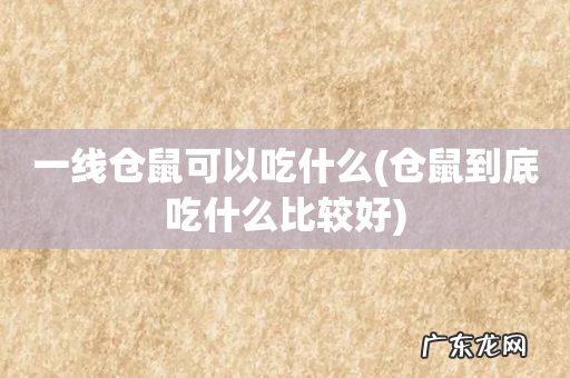 仓鼠到底吃什么比较好 一线仓鼠可以吃什么