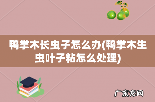 鸭掌木生虫叶子粘怎么处理 鸭掌木长虫子怎么办