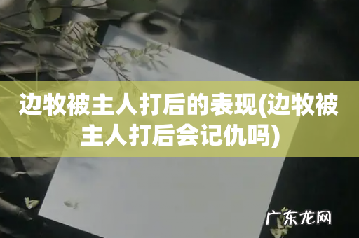 边牧被主人打后会记仇吗 边牧被主人打后的表现