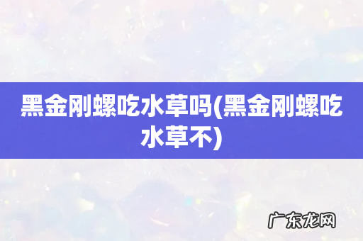 黑金刚螺吃水草不 黑金刚螺吃水草吗