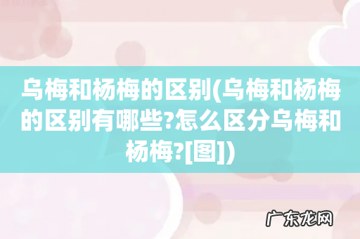 乌梅和杨梅的区别有哪些?怎么区分乌梅和杨梅?[图] 乌梅和杨梅的区别