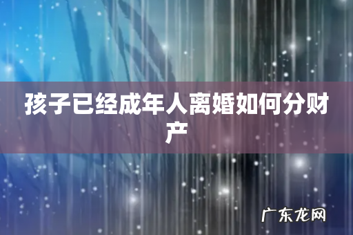 孩子已经成年人离婚如何分财产
