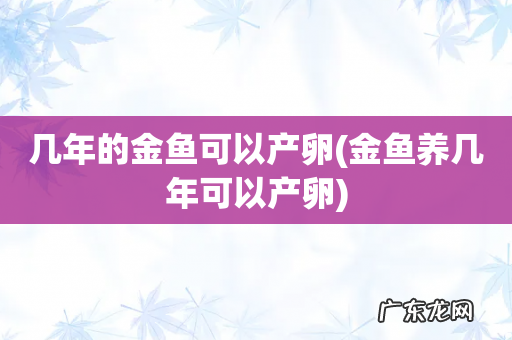 金鱼养几年可以产卵 几年的金鱼可以产卵