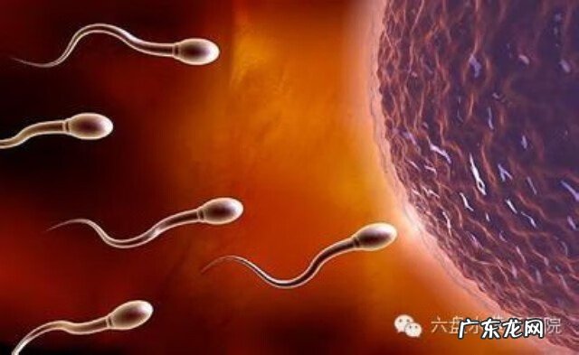 什么情况最容易受孕 哪些情况下容易怀孕