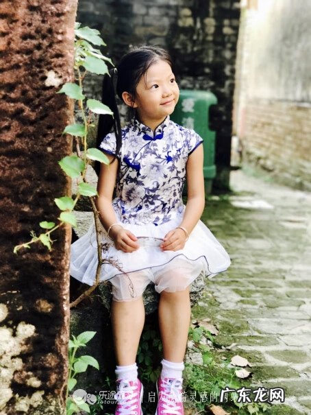 东莞南社明清古村落简介 东莞南社古村落建筑风水分析