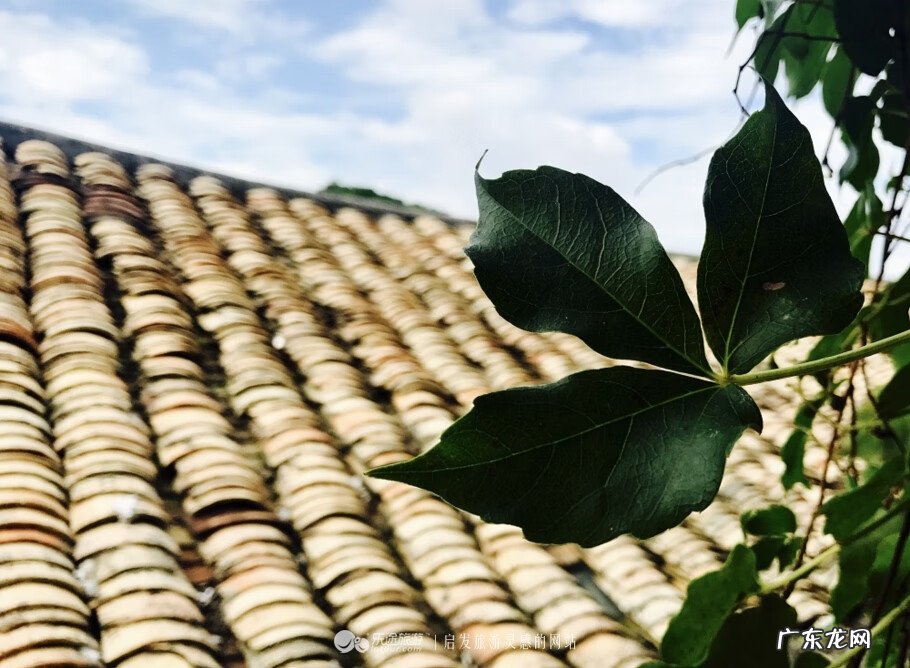 东莞南社明清古村落简介 东莞南社古村落建筑风水分析