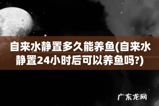 自来水静置24小时后可以养鱼吗? 自来水静置多久能养鱼