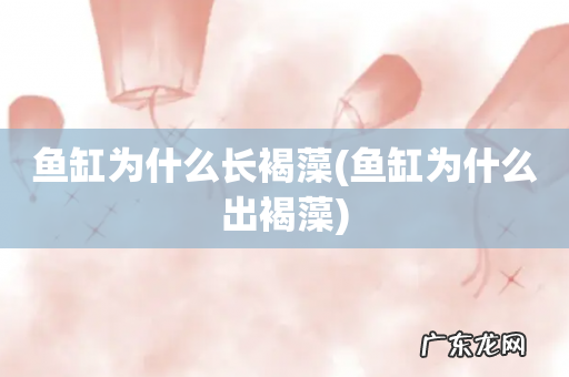 鱼缸为什么出褐藻 鱼缸为什么长褐藻