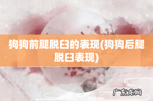 狗狗后腿脱臼表现 狗狗前腿脱臼的表现