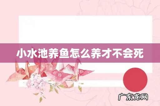 小水池养鱼怎么养才不会死