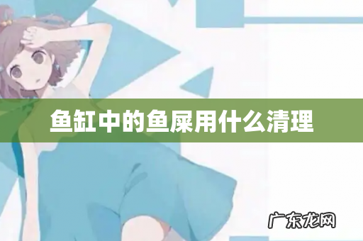 鱼缸中的鱼屎用什么清理