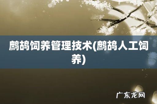 鹧鸪人工饲养 鹧鸪饲养管理技术