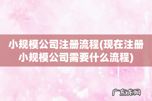 现在注册小规模公司需要什么流程 小规模公司注册流程
