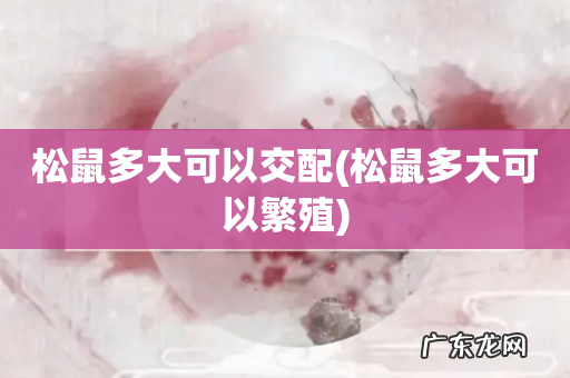 松鼠多大可以繁殖 松鼠多大可以交配