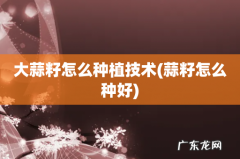 蒜籽怎么种好 大蒜籽怎么种植技术