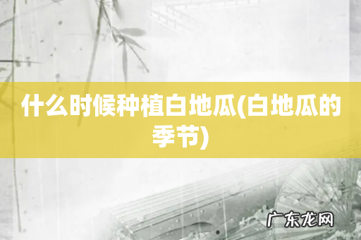 白地瓜的季节 什么时候种植白地瓜