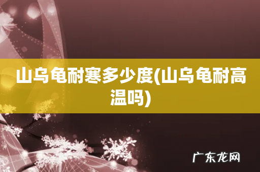 山乌龟耐高温吗 山乌龟耐寒多少度