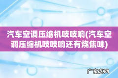 汽车空调压缩机吱吱响还有烧焦味 汽车空调压缩机吱吱响