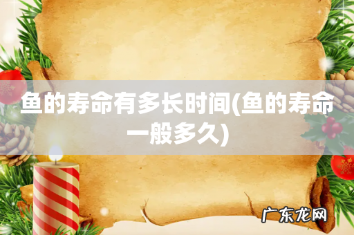 鱼的寿命一般多久 鱼的寿命有多长时间